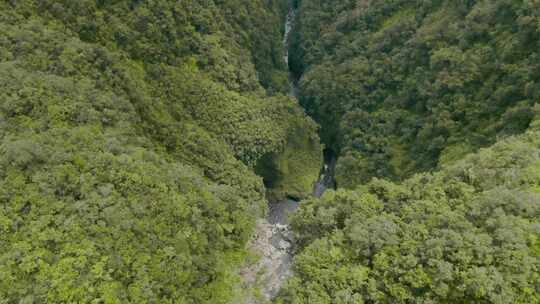 瀑布，山脉，溪流，丛林