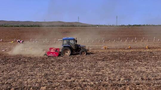 农机在田间收割土豆视频素材模板下载