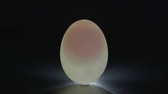 咸鸭蛋透明蛋黄过光拍摄LOG素材