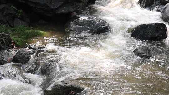 森林中 山泉小溪水