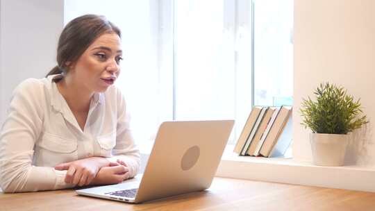 年轻女孩与客户交谈、讨论、谈判