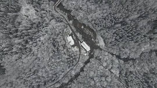 冬天森林雪景俯拍视频素材模板下载