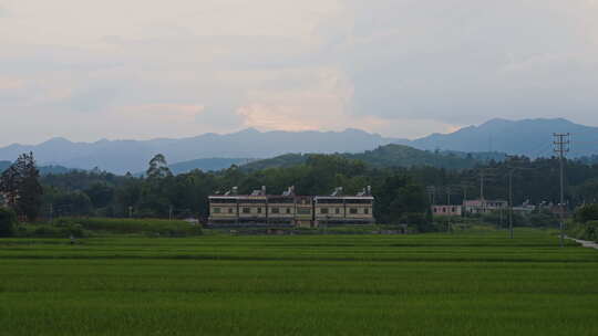 自然农村乡间田地