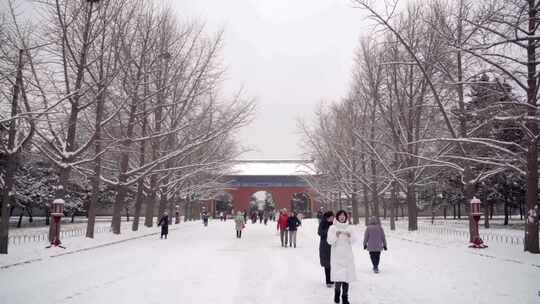 北京天坛祈年殿雪景最新最全之一视频素材模板下载