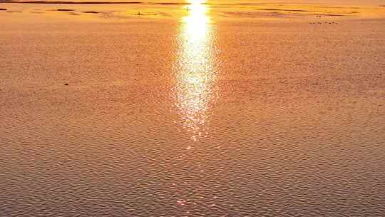 江西鄱阳湖湿地