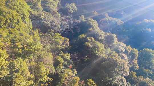 安徽黄山风景区风景视频素材