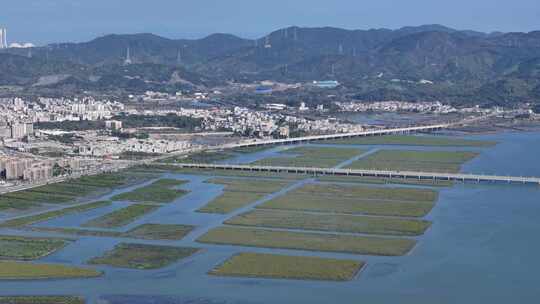 惠州市盐洲海洋湿地公园-红树林航拍