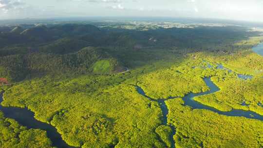 巴西亚马逊雨林和河流的鸟瞰图