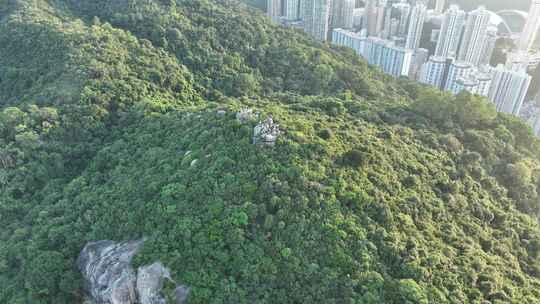 香港山峰航拍宝马山小马山毕拿山风景风光