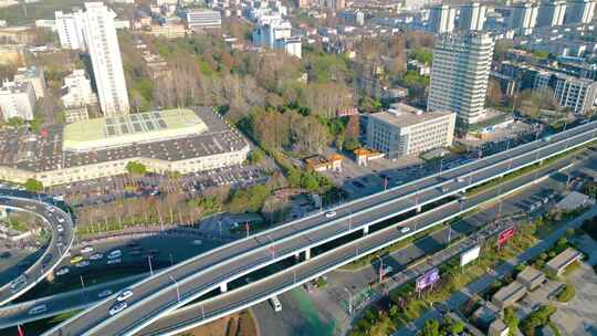 南京市玄武区南京林业大学校园风景航拍素材