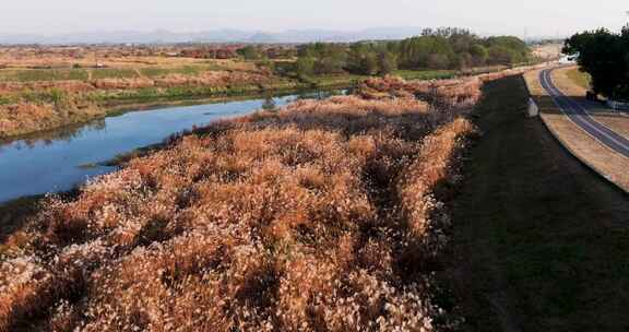 杭州余杭区北湖草荡湿地秋天风光航拍