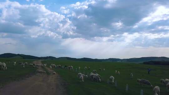 草原树木与蓝天白云风景