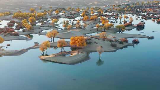 航拍阿拉善沙漠胡杨【合集】