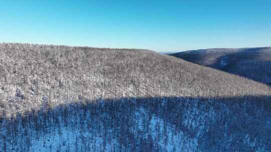 内蒙古大兴安岭森林冬季风景林海雪原风光