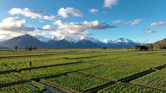 田野雪山自然风光全景