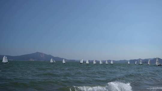 蓝色海洋大海海上帆船实拍