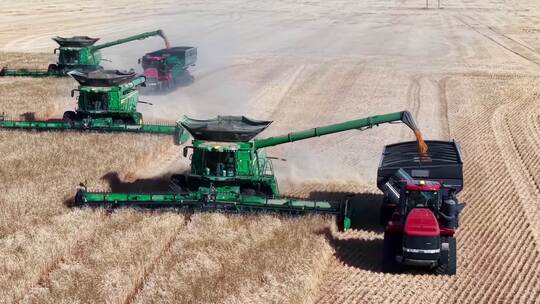 秋天农业粮食秋收丰收机械化高清在线视频素材下载