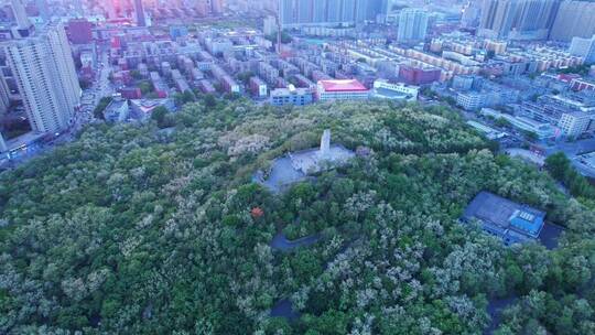 风景这边独好，大山里的原生态，治愈系风景