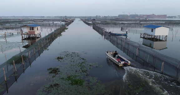 苏州阳澄湖航拍清晨日出水产养殖区