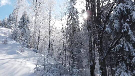 雪后的山和树蓝色多云的天空