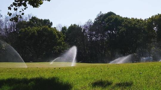 城市草坪洒水喷水逆光升格视频