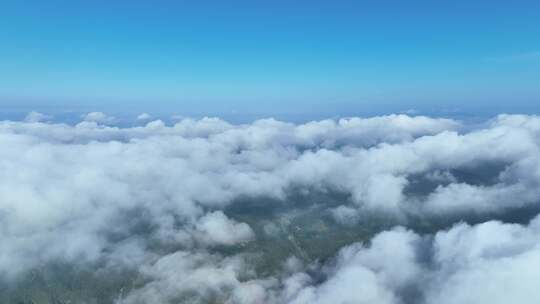 高山云海