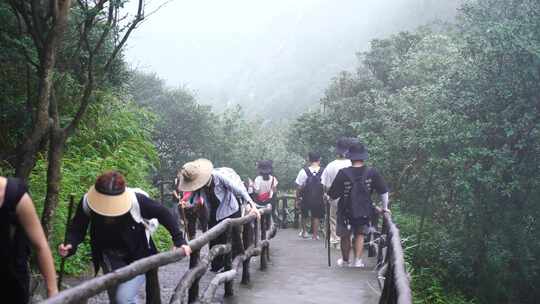 清晨爬山登山上楼梯背影脚步特写森林爬楼梯