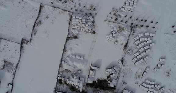 呼伦贝尔冬天雪景农垦农场民居村落景观