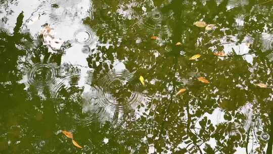 下雨天波纹慢动作1