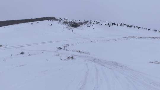 冬季雪地田野风景