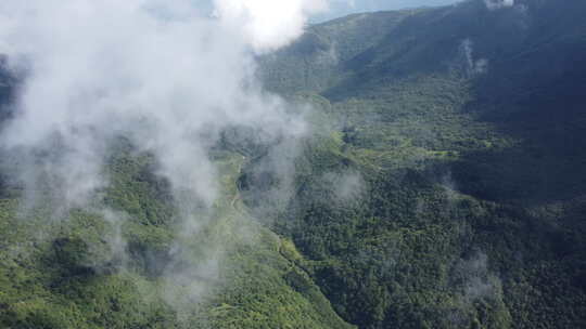 神农架神农顶风景区航拍原始素材