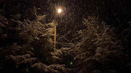 路灯下雪雪景