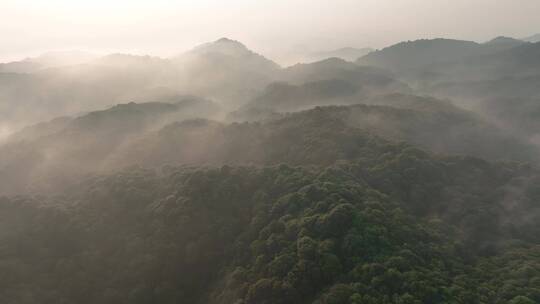 山林日出云雾航拍视频