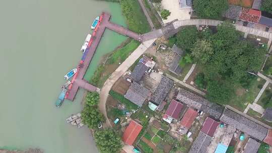 淮河 湿地生态 洪泽湖沿岸 三角洲地貌