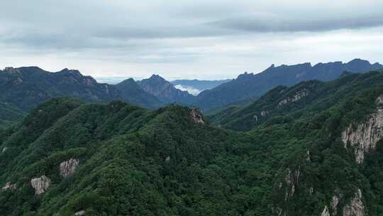 美丽中国河南老界岭自然风光