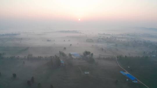 清晨带有薄雾的乡村田野