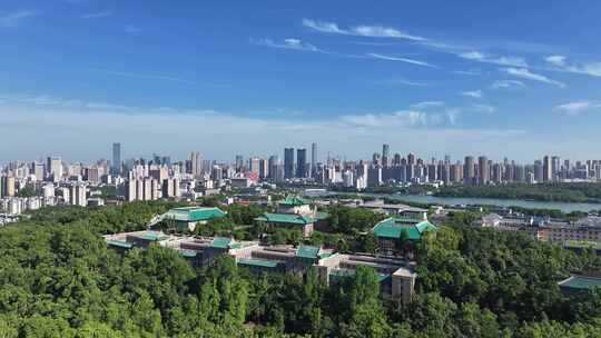 武汉大学武昌区大景航拍