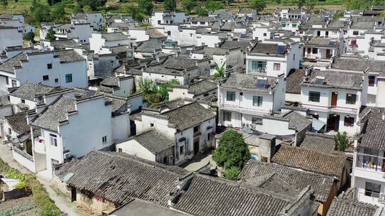 安徽黄山市卢村风光