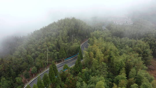 雨雾云海森林中行驶的车辆