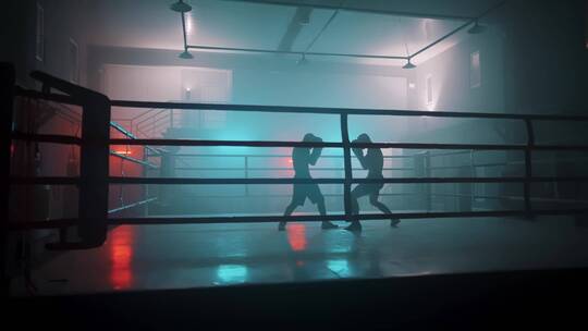 两个男人打拳视频素材模板下载