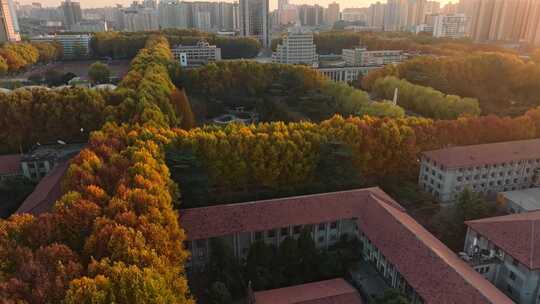 航拍城市落叶秋景西安交通大学