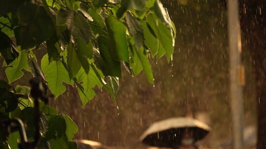 雨天空镜 城市雨季 雨天通行