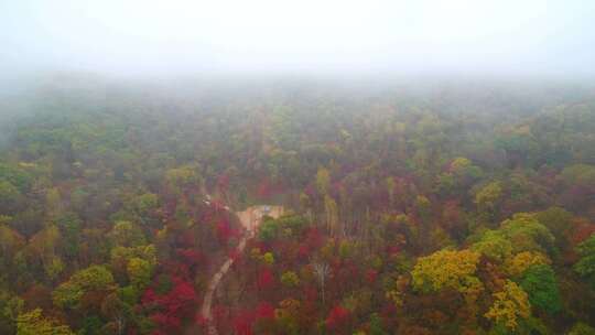 航拍吉林拉法山国家森林公园蛟河红叶谷秋景