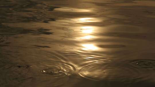 波光粼粼的湖面 阳光照耀 金色阳光