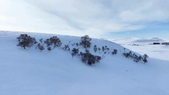 唯美雪原美景 水墨丹青画卷