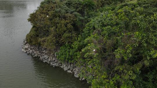 广东东江生态保护区航拍视频素材模板下载