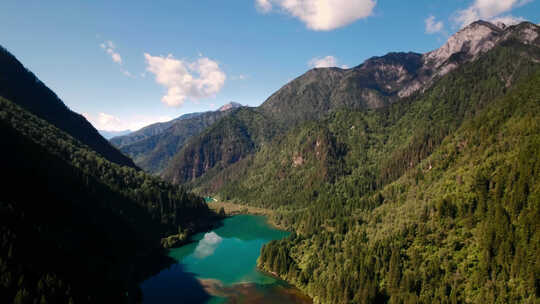 航拍高山森林