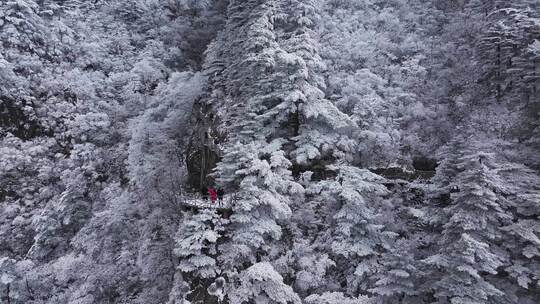 安徽黄山雪景视频素材模板下载