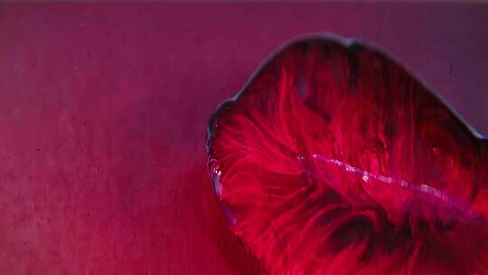 红色物体微距特写素材