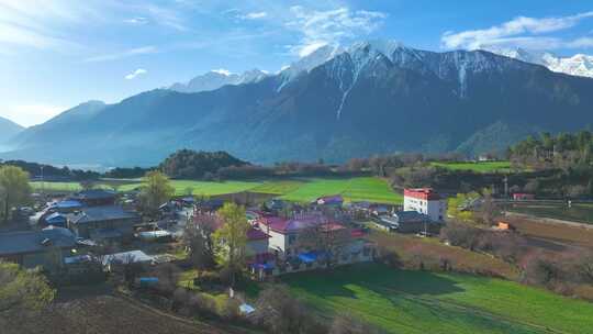 西藏林芝雪山森林视频素材模板下载